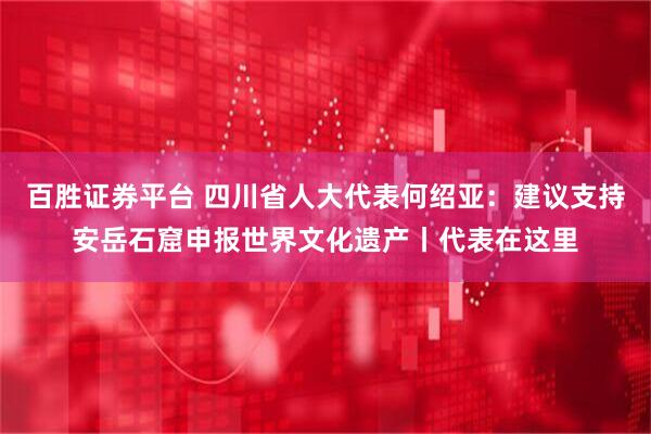 百胜证券平台 四川省人大代表何绍亚：建议支持安岳石窟申报世界文化遗产丨代表在这里