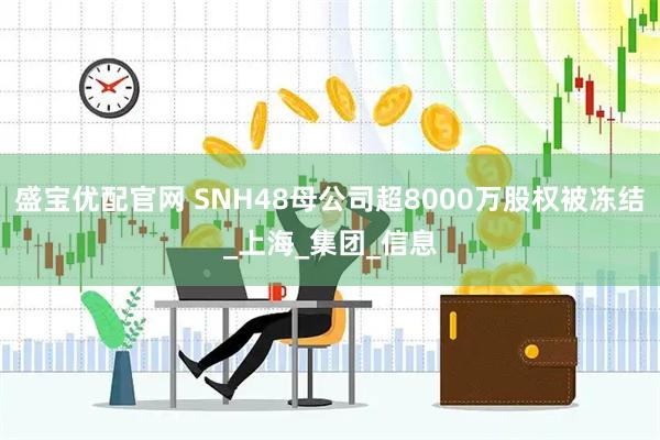 盛宝优配官网 SNH48母公司超8000万股权被冻结_上海_集团_信息
