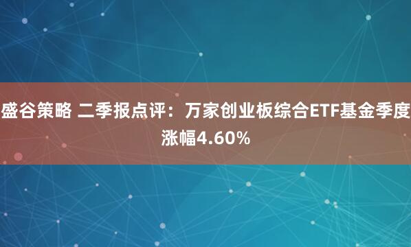 盛谷策略 二季报点评：万家创业板综合ETF基金季度涨幅4.60%